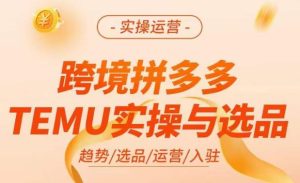 跨境拼多多TEMU实操与选品，​掌握平台运营方法技巧，选品避坑12条标准，爆款的底层思路等-一起网赚吧