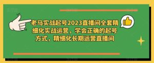 老马实战起号2023直播间全套精细化实战运营，学会正确的起号方式，精细化长期运营直播间-一起网赚吧