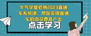 牛气学堂老衲2023直通车系统课，帮你实现直通车的低花费高产出-一起网赚吧