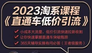 2023直通车低价引流玩法课程，小成本大流量，低价引流快速拉新收割，让你快速掌握直通车突破瓶颈-一起网赚吧