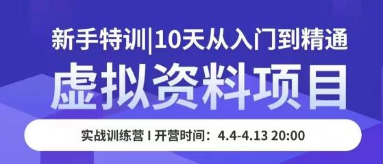 虚拟资料项目新手特训，10天从入门到精通，保姆级实操教学-一起网赚吧