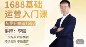 1688运营基础入门系统课，​20课时带你系统性解析1688运营-一起网赚吧
