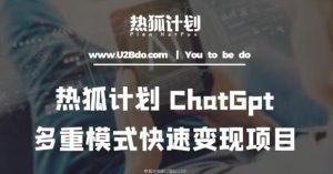 热狐计划：王大陆ChatGpt多重变现实操课，多种模式快速变现-一起网赚吧