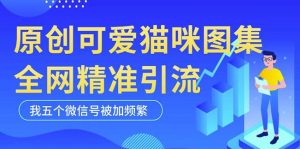 黑科技纯原创可爱猫咪图片，全网精准引流，实操5个VX号被加频繁-一起网赚吧