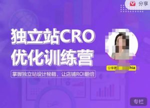 独立站CRO优化训练营,掌握独立站设计秘籍,打造高转化的独立站,让店铺ROI翻倍-一起网赚吧
