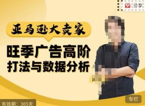 阿甘·亚马逊大卖家广告高阶打法与数据分析，走出传统广告误区；揭秘大卖惯用打法；数据驱动广告决策-一起网赚吧