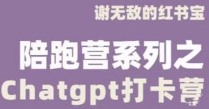 谢无敌ChatGPT打卡营，教你更好地使用ChatGPT来提高工作效率-一起网赚吧