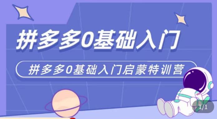 六一电商·拼多多运营0-1实操特训营，拼多多从基础到进阶的可实操玩法-一起网赚吧