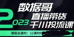 数据哥2023直播电商巨量千川付费投流实操课,快速掌握直播带货运营投放策略-一起网赚吧