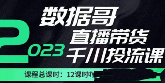 数据哥2023直播电商巨量千川付费投流实操课，快速掌握直播带货运营投放策略-一起网赚吧