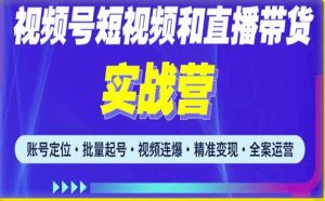 2023最新微信视频号引流和变现全套运营实战课程，小白也能玩转视频号短视频和直播运营-一起网赚吧