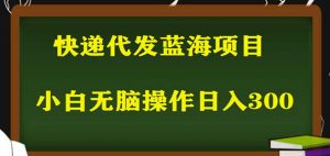 2023最新蓝海快递代发项目，小白零成本照抄也能日入300+-一起网赚吧