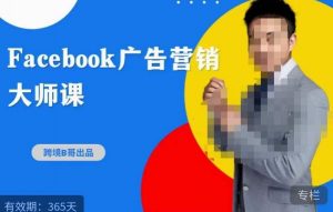 跨境b哥·2023Facebook广告营销大师课，挖掘广告商机，寻找精准客户-一起网赚吧