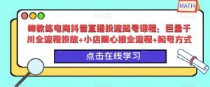 峰教练电商抖音直播投流起号课程：巨量千川全流程投放+小店随心推全流程+起号方式-一起网赚吧