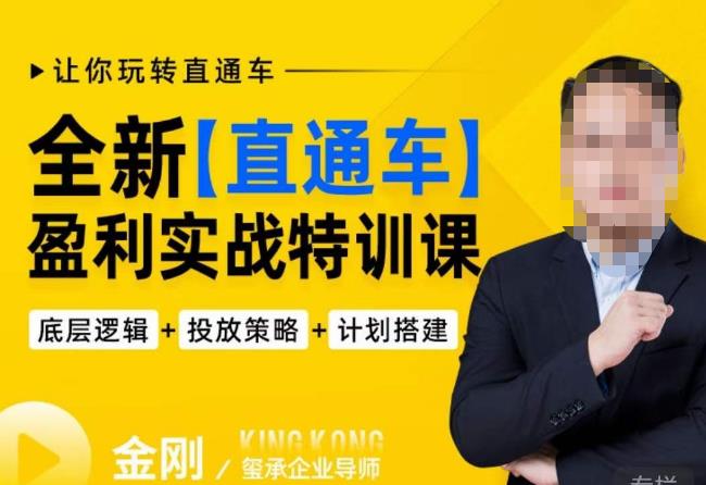 玺承·全新直通车盈利实战特训课，从​底层逻辑详细拆解，从底层，策略到搭建，让你玩转直通车-一起网赚吧