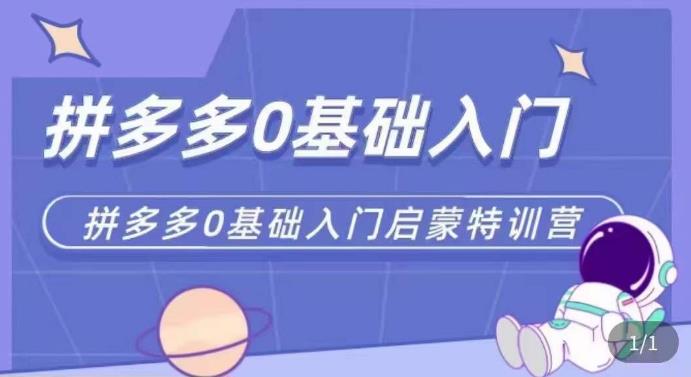 拼多多运营0-1实操特训营，拼多多0基础入门，从基础到进阶的可实操玩法-一起网赚吧