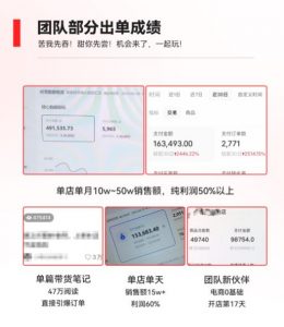 2023小红书电商火爆全网，新晋红利，风口项目，单店收益在3000-30000！-一起网赚吧