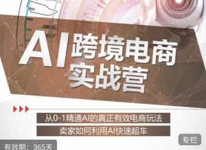 白龙老师·AI跨境电商实战营：从0-1精通Al的真正有效电商玩法，卖家如何利用Al快速超车-一起网赚吧