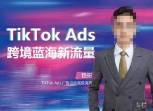 稳哥·如何投出高ROI的TikTok广告，开拓独立站卖家流量新蓝海-一起网赚吧
