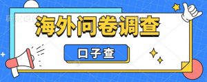 外面收费5000+海外问卷调查口子查项目,认真做单机一天200+【揭秘】-一起网赚吧