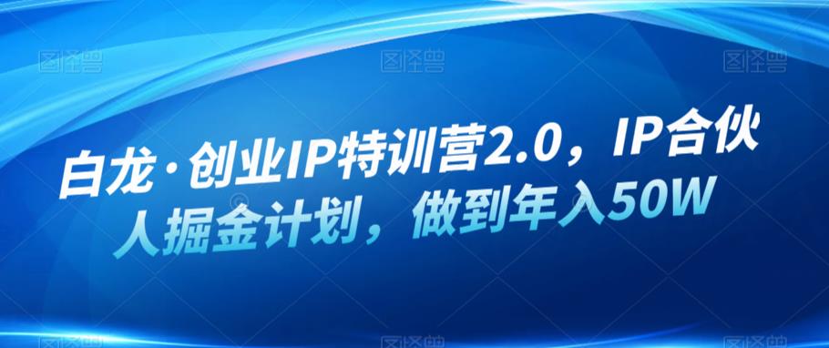 白龙·创业IP特训营2.0，IP合伙人掘金计划，做到年入50W-一起网赚吧