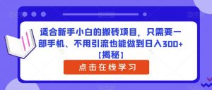 适合新手小白的搬砖项目,只需要一部手机、不用引流也能做到日入300+【揭秘】-一起网赚吧
