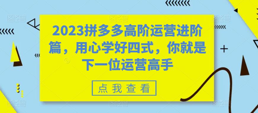 2023拼多多高阶运营进阶篇，用心学好四式，你就是下一位运营高手-一起网赚吧