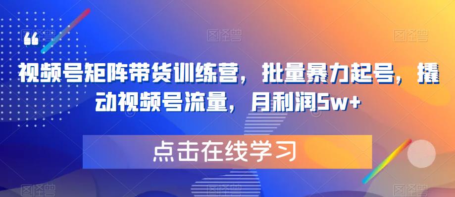 视频号矩阵带货训练营，批量暴力起号，撬动视频号流量，月利润5w+-一起网赚吧