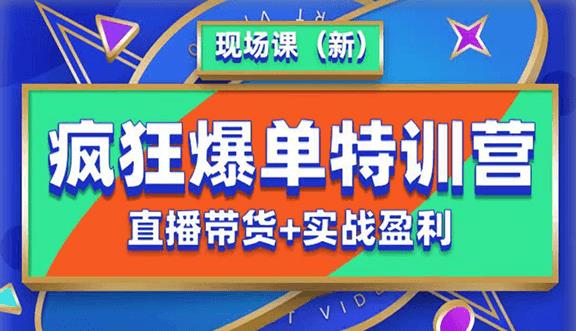 抖音短视频疯狂爆单特训营现场课（新）直播带货+实战案例-一起网赚吧