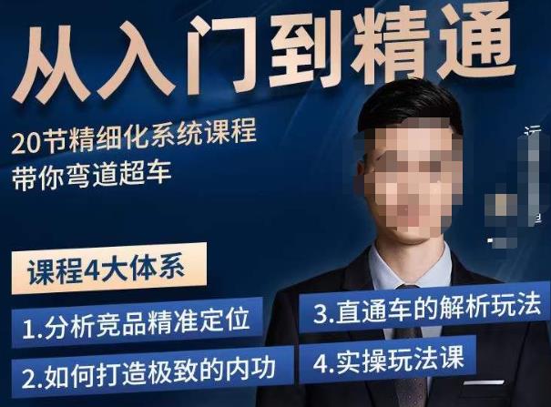 龙一·从入门到精通拼多多运营系列课，0-100的运营实操技巧，精细化系列课程带你弯道超车-一起网赚吧