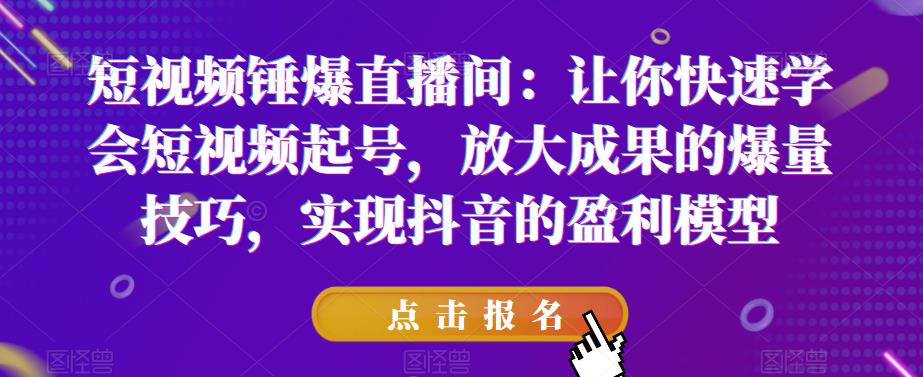 短视频锤爆直播间：让你快速学会短视频起号，放大成果的爆量技巧，实现抖音的盈利模型-一起网赚吧