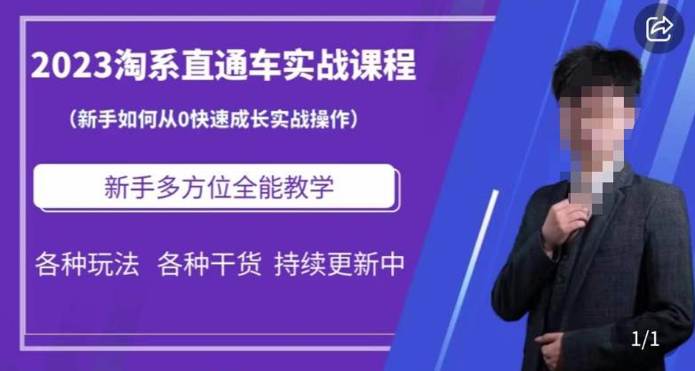 2023淘系直通车保姆式运营讲解，新手如何从0快速成长实战操作，新手多方位全能教学-一起网赚吧