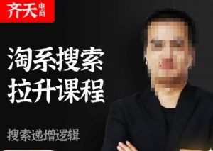 齐天电商·淘系搜索提升课程，​搜索递增标准化，动销标准化流程-一起网赚吧