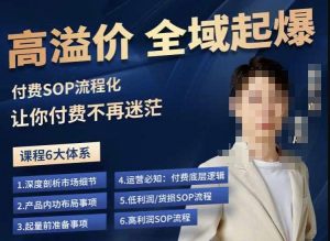 逸风-拼多多高溢价全域起爆，6大课程体系，付费玩法全套实操-一起网赚吧