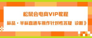 松鼠会电商VIP教程：松鼠《付费推广标品·半标直通车操作针对性答疑&诊断》-一起网赚吧