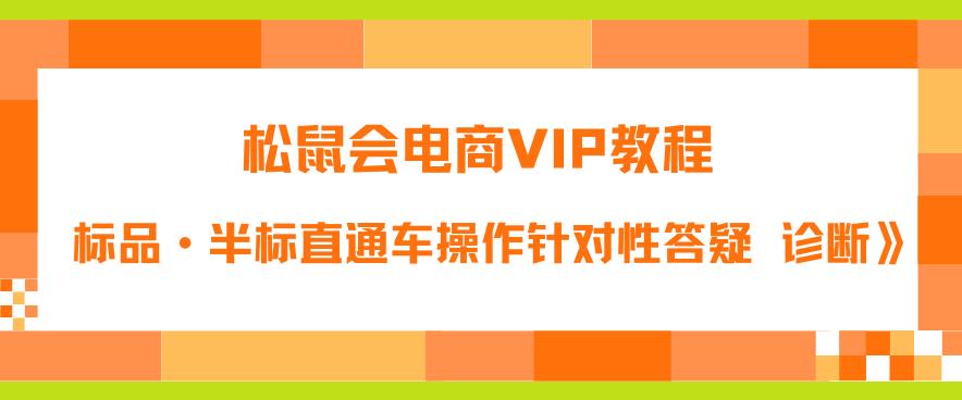 松鼠会电商VIP教程：松鼠《付费推广标品·半标直通车操作针对性答疑&诊断》-一起网赚吧