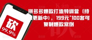 拼多多爆款打造特训营（持续更新中)，199元*100套可复制爆款案例-一起网赚吧