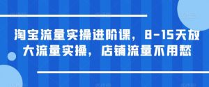 淘宝流量实操进阶课，8-15天放大流量实操，店铺流量不用愁-一起网赚吧