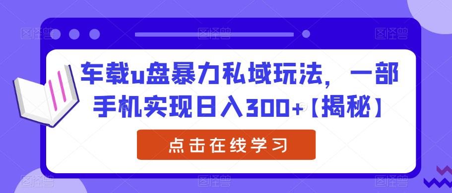车载u盘暴力私域玩法，一部手机实现日入300+【揭秘】-一起网赚吧
