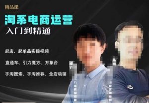 2023手淘搜索实操课+体系化课程，​起店起单品实操视频课程-一起网赚吧
