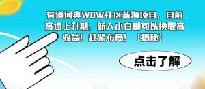 有道词典WOW社区蓝海项目，目前高速上升期，新人小白都可以换取高收益！赶紧布局！【揭秘】-一起网赚吧