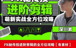 PR进阶剪辑培训班，让你快速成为剪辑大师12节视频课程+素材！-一起网赚吧