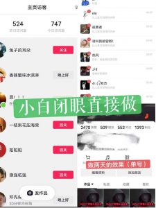 一天做完别一辈子的视频制作最近很火的《1000个野路子信息差》100%过原创【揭秘】-一起网赚吧