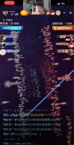 2023抖音最新最火爆弹幕互动游戏–星舰决战【开播教程+起号教程+对接报白等】-一起网赚吧