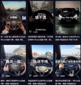 抖音开车视频项目，0基础操作，每天五分钟，月入1W+【揭秘】-一起网赚吧