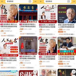 拆解小红书宝宝起名虚拟副业项目，一条龙实操玩法分享给你（教程+软件）-一起网赚吧