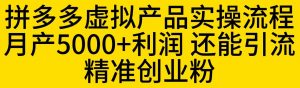 拼多多虚拟产品实操流程，月产5000+利润，还能引流精准创业粉【揭秘】-一起网赚吧