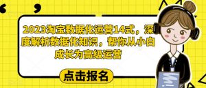 2023淘宝数据化运营14式，深度解析数据化知识，帮你从小白成长为高级运营-一起网赚吧