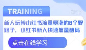 新人玩转小红书流量暴涨的8个野路子，小红书新人快速流量破局-一起网赚吧