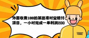 外面收费188的美团准时宝赔付项目，一小时完成一单利润200【仅揭秘】-一起网赚吧